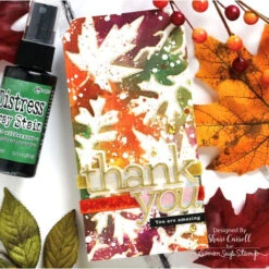 Tim Holtz Distress Spray Stain Seedless Preserves Ranger TSS42471 -Simon Says Stamp 1 309665 FS alt02