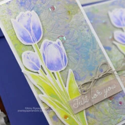 Tonic Light Mist Spray Bottle Nuvo 2 Pack 849N -Simon Says Stamp 1 371118 FS ALT03