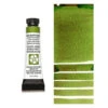 Daniel Smith GREEN APATITE GENUINE 5ML Extra Fine Watercolor 284610197 -Simon Says Stamp 1 390279 FS