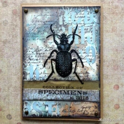 Tim Holtz Flip Top Distress Paint Speckled Egg Ranger Tdf72560 16 Tim Holtz Flip Top Distress Paint Speckled Egg Ranger Tdf72560 -Simon Says Stamp 1 468557 FS ALT02