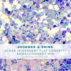 Trinity Stamps Shimmer And Shine Confetti Embellishment Bag Tsb-243