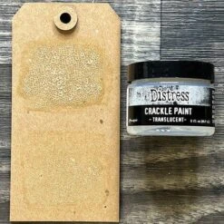Tim Holtz Distress Crackle Paint Translucent Ranger Tdc80411 -Simon Says Stamp 1 530637 FS alt01
