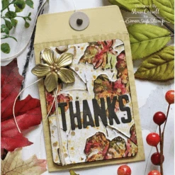 Tim Holtz Sizzix ACORNS 3D Texture Fades Embossing Folder 665772 -Simon Says Stamp 1 537983 FS alt3