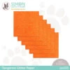 Simon Says Stamp 6 Sheets Glitter Cardstock Tangerine 6x6 Sss323