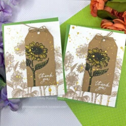 Tim Holtz Distress Watercolor Pencils Sets 1, 2, 3 Bundle Ranger -Simon Says Stamp 1 544648 FS alt3 237d3b2c 31be 4332 bad7 249f7f2cf3bf