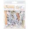 49 And Market Little Celebrations Chipboard Set Jlc-31980 2 49 And Market Little Celebrations Chipboard Set Jlc-31980 -Simon Says Stamp 49 and Market Little Celebrations Chipboard Set jlc 31980