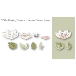Birch Press Design Peeking Flower And Leaves Contour Layers Dies 57494* -Simon Says Stamp 57494 insert 01 L