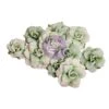 Prima Marketing Mint Chip Roses The Home Baker Flowers 672744 -Simon Says Stamp 655350672744