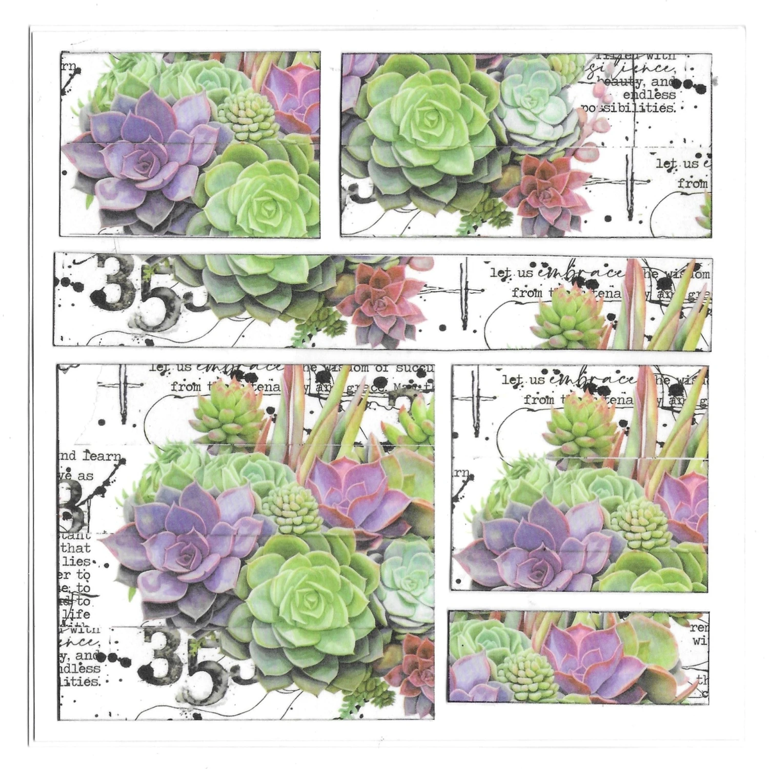 AALL & Create Thriving Terrarium Washi Tape 70 4 AALL & Create Thriving Terrarium Washi Tape 70 - Image 2