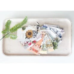 Simple Stories Vintage Essentials Color Palette Ephemera 22233 10 Simple Stories Vintage Essentials Color Palette Ephemera 22233 -Simon Says Stamp ADKq NZMNe HKP 88hwEAdjA5CusP5l9jYIWBFmpCZHdZtDbi9WO8i4U3mTvYU35vebrU1im3k4ZM8Y4saEkZSqOEUJP RhE68CVEDE9mu7eB SlOn0fviuvaQiZMGrXJIrwI m569C38cxIi4MvW6hAeBAtnUl5yE wRcKpAH2KBXL TGfayG