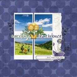 Arden Creative Studio Laurel Grove Ephemera Pack Acsep0007 -Simon Says Stamp Arden Creative Studio Laurel Grove Ephemera Pack acsep0007 exciting