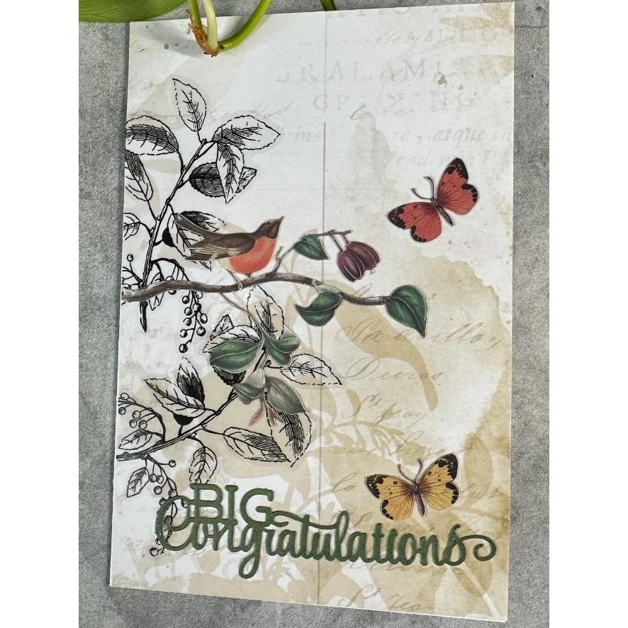 Arden Creative Studio Laurel Grove Sticker Book Acssb0001 5 Arden Creative Studio Laurel Grove Sticker Book Acssb0001 - Image 3