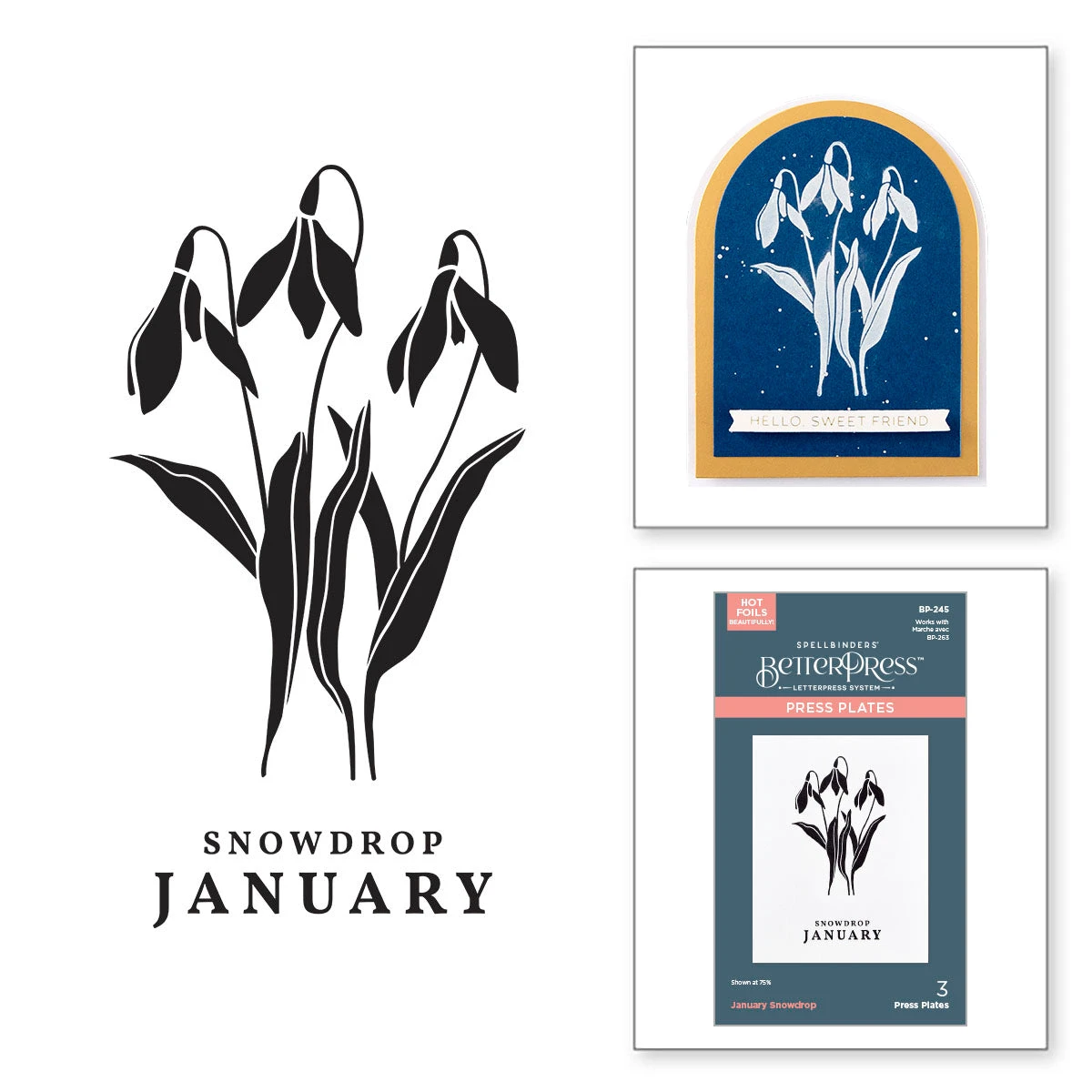 Spellbinders January Snowdrop Press Plates Bp-245* 3 Spellbinders January Snowdrop Press Plates Bp-245*