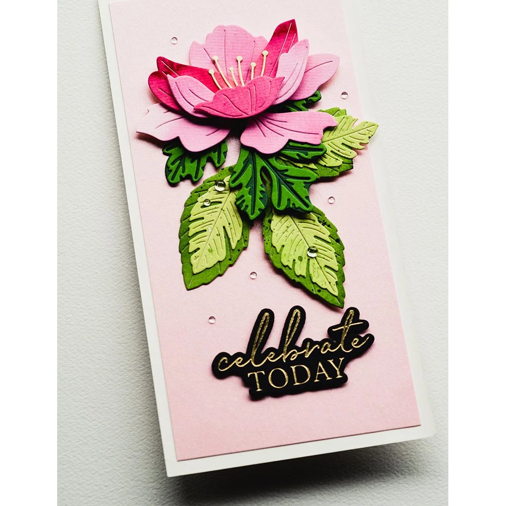 Birch Press Design Celebrate Today Noted Script Hot Foil Plate And Die Set Bpf506* 6 Birch Press Design Celebrate Today Noted Script Hot Foil Plate And Die Set Bpf506* - Image 4