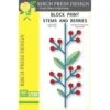 Birch Press Design Block Print Stems And Berries Dies 57599 -Simon Says Stamp Birch Press Design Block Print Stems and Berries Dies 57599