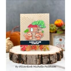 Simon Says Stamp Embossing Folder Dotted Spiral Sf477 STAMPtember -Simon Says Stamp Dotted Spiral folder MPE