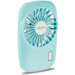 Various Mini Fan Dries Craft Projects