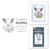 Spellbinders Daisy BetterPress Plate And Die Set Bp-232 -Simon Says Stamp Spellbinders Daisy BetterPress Plate and Die Set bp 232