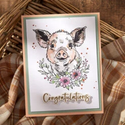 Spellbinders Daisy BetterPress Plate And Die Set Bp-232 -Simon Says Stamp Spellbinders Daisy BetterPress Plate and Die Set bp 232 congratulations