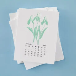 Spellbinders January Snowdrop Press Plates Bp-245* 6 Spellbinders January Snowdrop Press Plates Bp-245* -Simon Says Stamp Spellbinders January Snowdrop Press Plates bp 245 calendar
