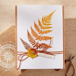 Spellbinders Lush Ferns BetterPress Plate Bp-228 -Simon Says Stamp Spellbinders Lush Ferns BetterPress Plate bp 228 fern