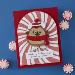 Spellbinders Peppermint Twist BetterPress Plate Bp-315 -Simon Says Stamp Spellbinders Peppermint Twist BetterPress Plate bp 315 wishes