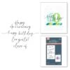 Spellbinders Sweeping Celebration Sentiments Press Plates Bp-267 2 Spellbinders Sweeping Celebration Sentiments Press Plates Bp-267 -Simon Says Stamp Spellbinders Sweeping Celebration Sentiments Press Plates bp 267