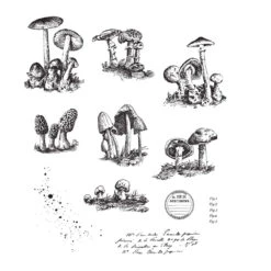 Tim Holtz Cling Rubber Stamps Tiny Toadstools Cms377