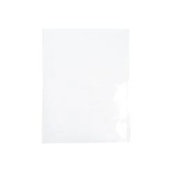 Clear Bags 5.6875 X 8.625 No Flap Set Of 20 B59snf20