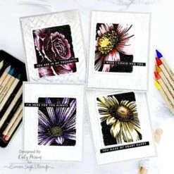 Tim Holtz Distress Watercolor Pencils Set 6 Ranger Tdh83603 -Simon Says Stamp bold botanicals watercolor crayons 2 0c1eb0ab 9ddf 410f b96e 6deb3baeebb2