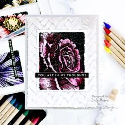 Tim Holtz Sizzix INTERTWINED 3D Texture Fades Embossing Folder 664759 -Simon Says Stamp bold botanicals watercolor crayons 6