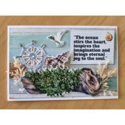 3Quarter Designs Coastal Boardwalk 6x4 Card Pack 3q-cc-coastalboardwalk -Simon Says Stamp cb56x4