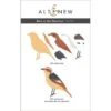 Altenew Bird Of The Mountain Dies Alt7878 -Simon Says Stamp p d1311598 6d88 4aa3 974b b08d7a58b5b3