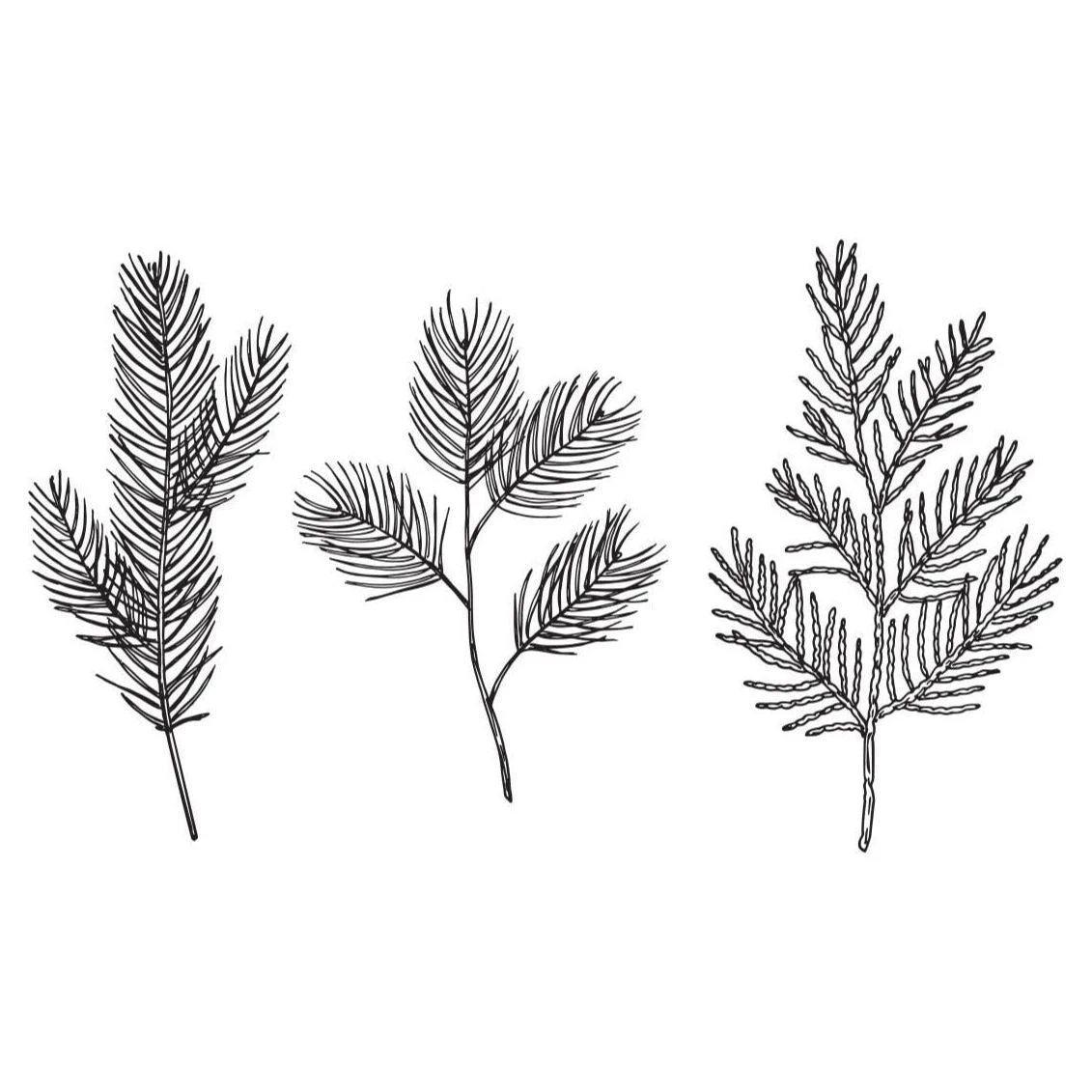 Spellbinders Evergreen Branches Press Plates BP-067 3 Spellbinders Evergreen Branches Press Plates BP-067